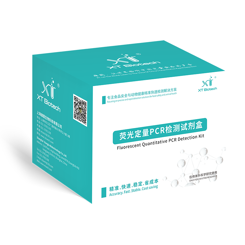 Fluorescent quantitative PCR detection kit